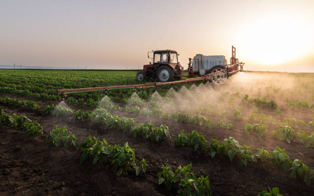 Pest Control for Restaurants and Food Service in Goodman, MO